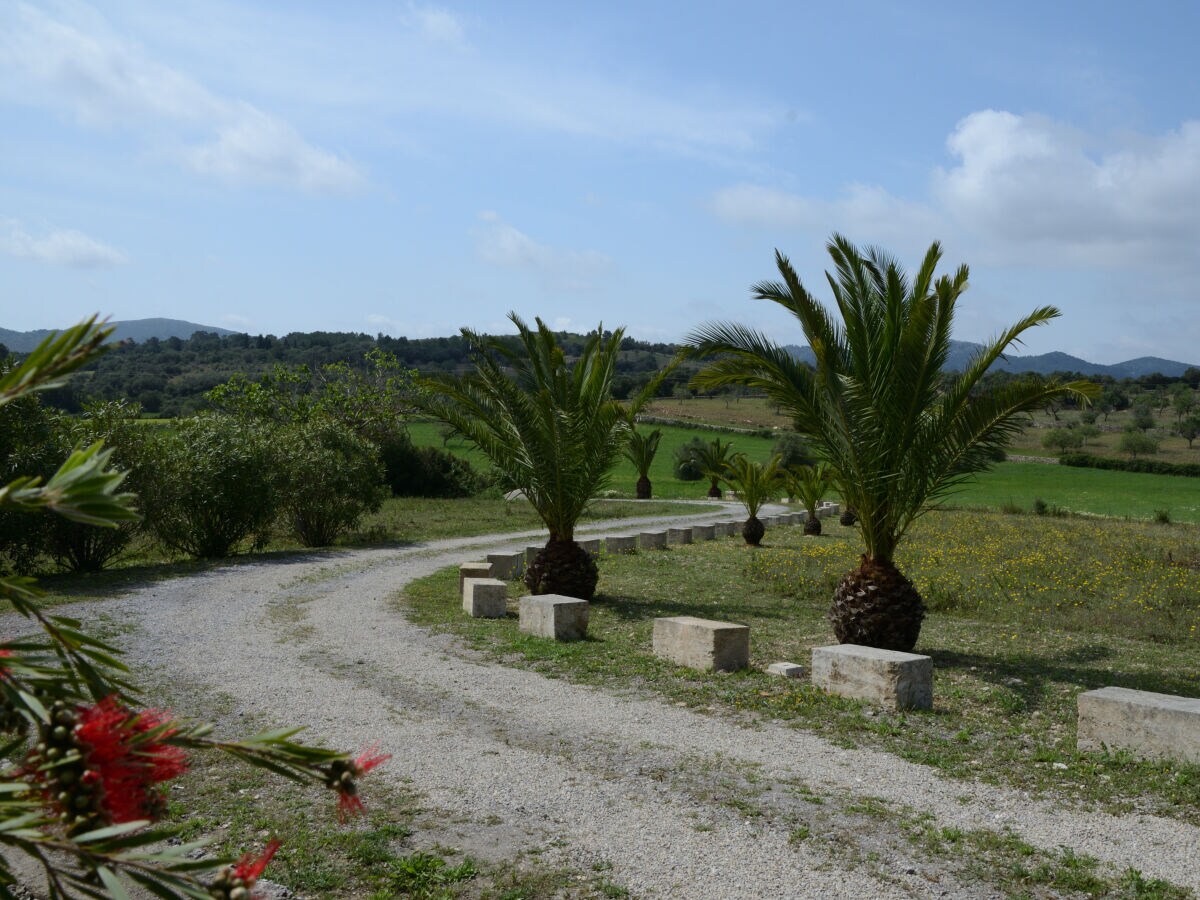 Finca Finca al turó with jacuzzi & panoramic vistas - Outdoor photo 5