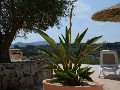 Finca Finca al turó with jacuzzi & panoramic vistas - Outdoor photo 8