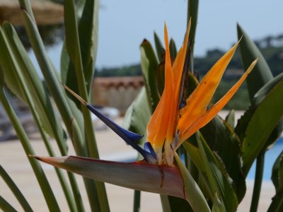 Finca Finca al turó with jacuzzi & panoramic vistas - Outdoor photo 10