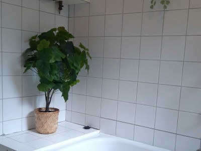 Holiday house Torenlicht - Zand II - Outdoor photo 15