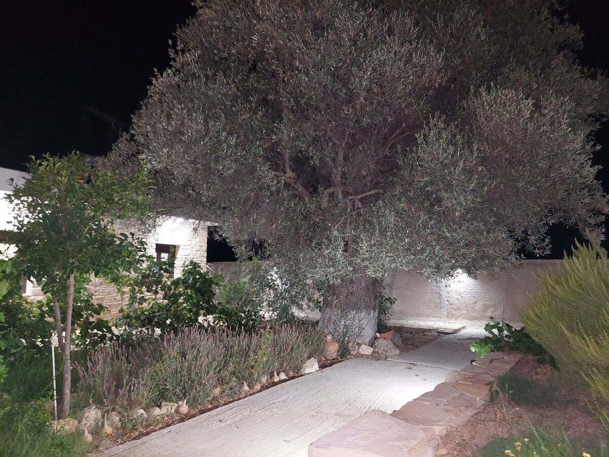 Villa Elia - Outdoor photo 4