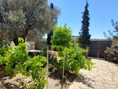 Villa Elia - Outdoor photo 13