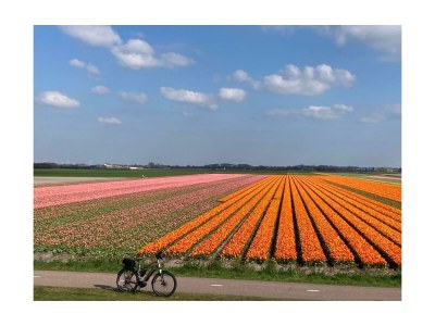 Holiday house Belkmerduinen 05 - Outdoor photo 24