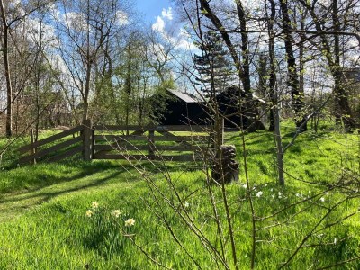 Holiday house Belkmerduinen 05 - Outdoor photo 25