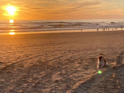 Holiday house Belkmerduinen 05 - Outdoor photo 26