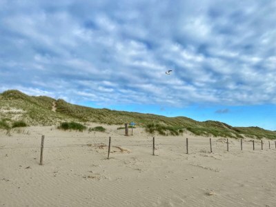 Holiday house Boerenslag 28 - Outdoor photo 23