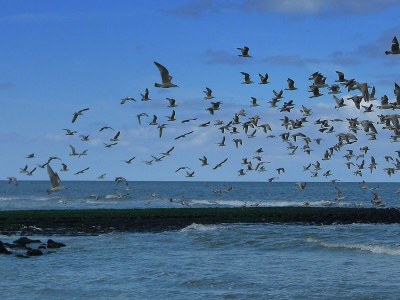 Holiday house Bohemien 39 - Outdoor photo 24