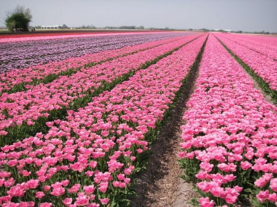 Holiday house Bohemien 47 - Outdoor photo 16