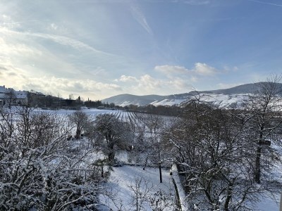 Holiday house im historischen Mosel - Fachwerkhaus - Outdoor photo 23