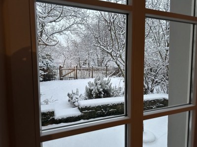 Holiday house im historischen Mosel - Fachwerkhaus - Outdoor photo 26