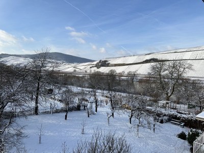 Holiday house im historischen Mosel - Fachwerkhaus - Outdoor photo 28