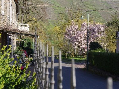 Holiday house im historischen Mosel - Fachwerkhaus - Features photo 32