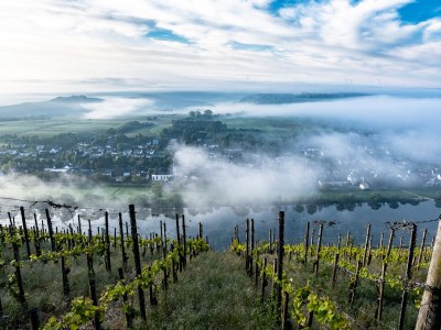 Holiday house im historischen Mosel - Fachwerkhaus - Environment photo 35