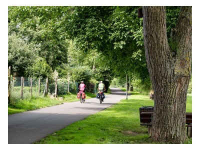 Holiday house im historischen Mosel - Fachwerkhaus - Environment photo 36