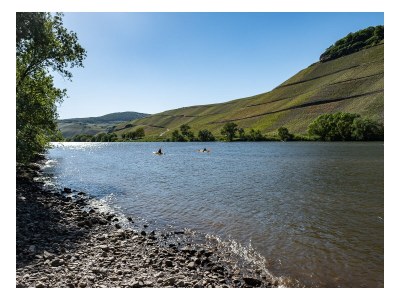 Holiday house im historischen Mosel - Fachwerkhaus - Environment photo 38