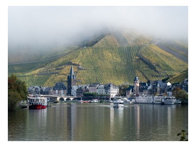 Holiday house im historischen Mosel - Fachwerkhaus - Environment photo 39