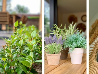 Holiday house Campanula 224 - Outdoor photo 5