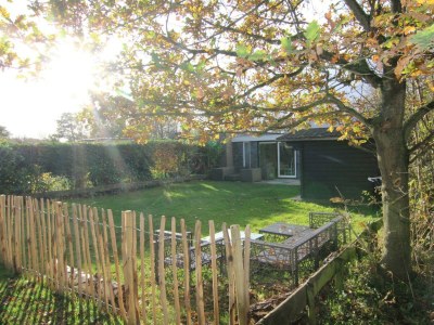 Holiday house Duinland 248 - Outdoor photo 14