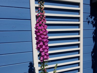 Holiday house Eb en Vloed 53 - Outdoor photo 15