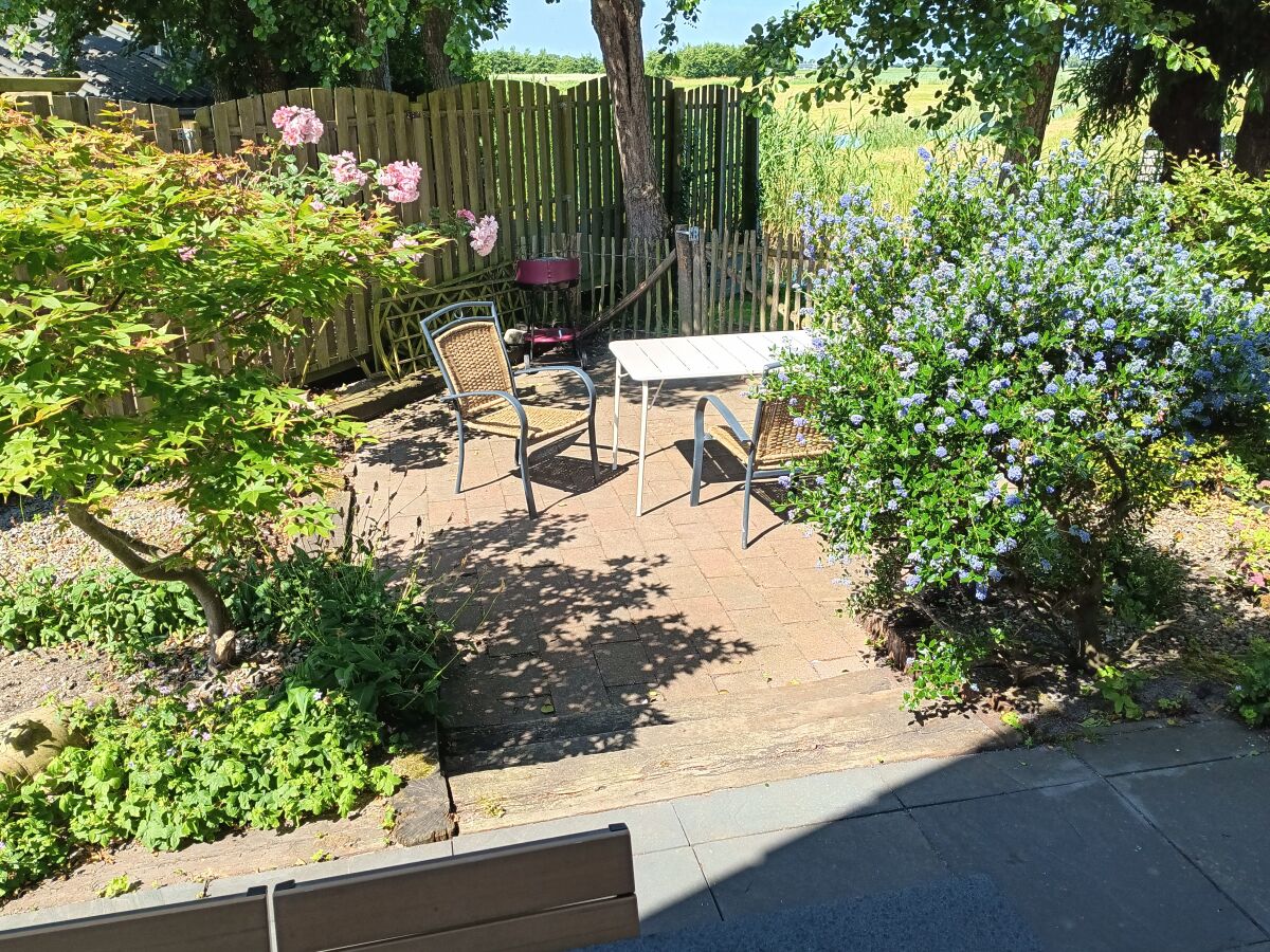 Holiday house Vogelvrij 3 - Outdoor photo 2