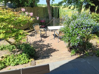 Holiday house Vogelvrij 3 - Outdoor photo 2