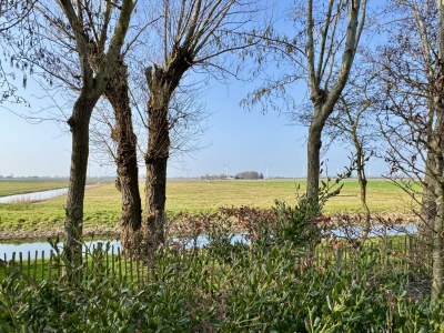 Holiday house Vogelvrij 3 - Outdoor photo 5