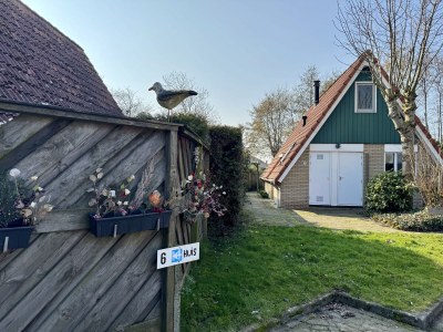 Holiday house Vogelvrij 3 - Outdoor photo 19