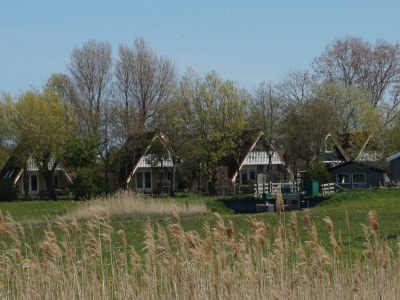 Holiday house Vogelvrij 4 - Outdoor photo 21