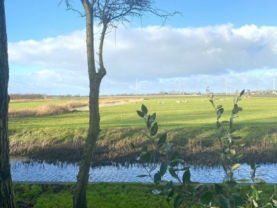 Holiday house Vogelvrij 4 - Outdoor photo 23