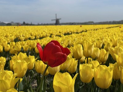 Holiday house Wildrijk 72 - Outdoor photo 17