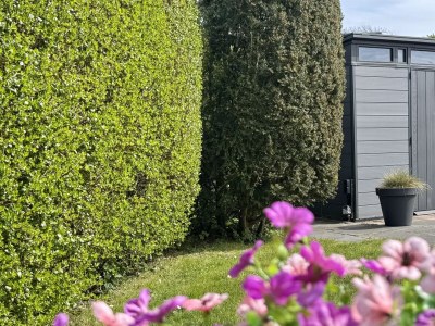 Holiday house Zeewaard 37 - Outdoor photo 9