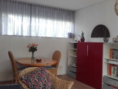 Holiday house Zeewaard 5 - Outdoor photo 11