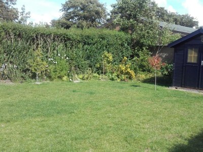 Holiday house Zeewaard 5 - Outdoor photo 18