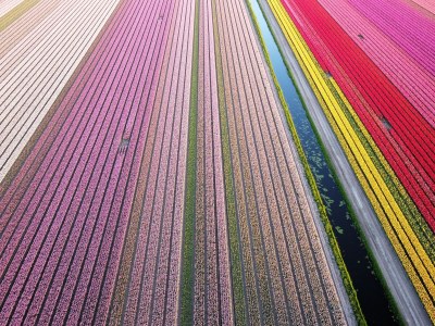 Holiday house Zeeweg 49 (Sint Maartenszee) - Outdoor photo 14