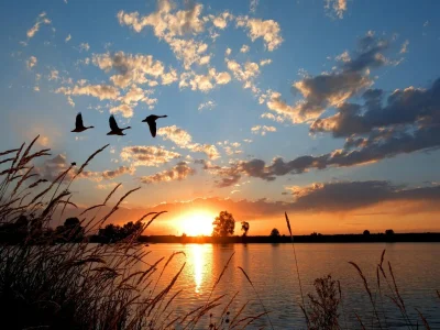 Holiday park Holiday Home in Medemblik near Radboud Castle - Environment photo 23