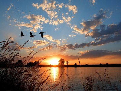 Holiday park Ferienhaus in Medemblik am IJsselmeer - Environment photo 18