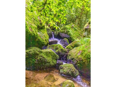 Holiday apartment No title - Environment photo 28