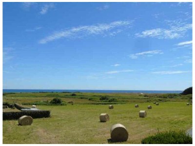 Holiday house Villa ( ref. 8508) - Environment photo 24