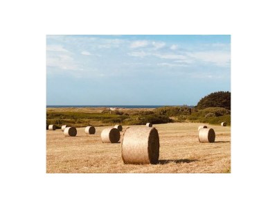 Holiday house No title - Environment photo 23