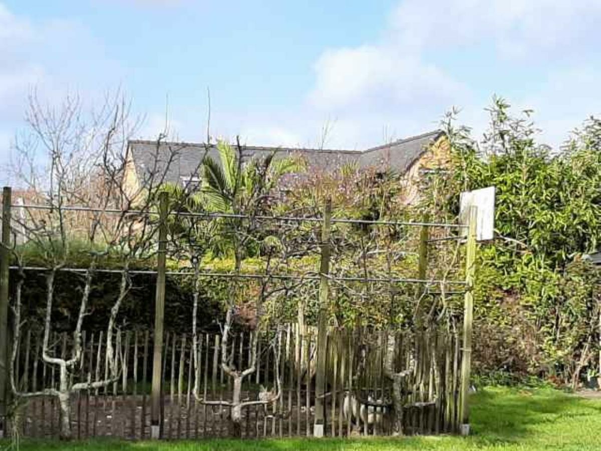 Holiday house Villa (ref. 8602) - Outdoor photo 5