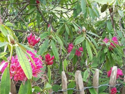 Holiday house Villa (ref. 8602) - Outdoor photo 4