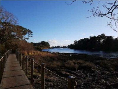 Holiday house Villa (ref. 8602) - Environment photo 31