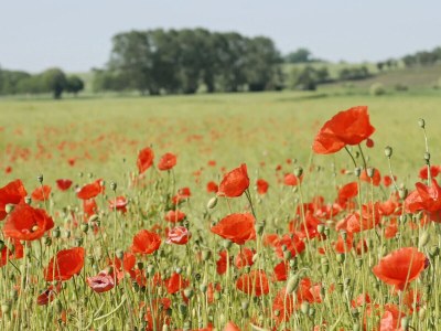 Holiday house No title - Environment photo 20