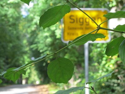 Holiday house No title - Environment photo 22