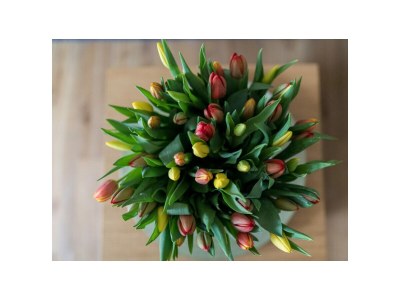 Holiday apartment White Dune - Features photo 23