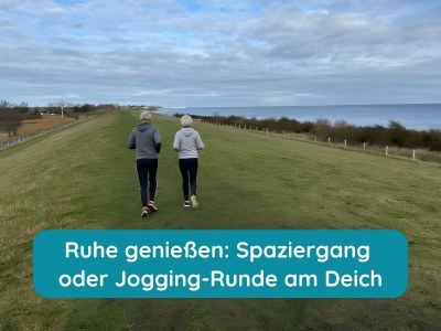 Holiday apartment Lighthouse Luck Fehmarn - Environment photo 28