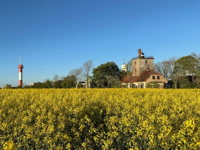 Holiday apartment Lighthouse Luck Fehmarn - Environment photo 31