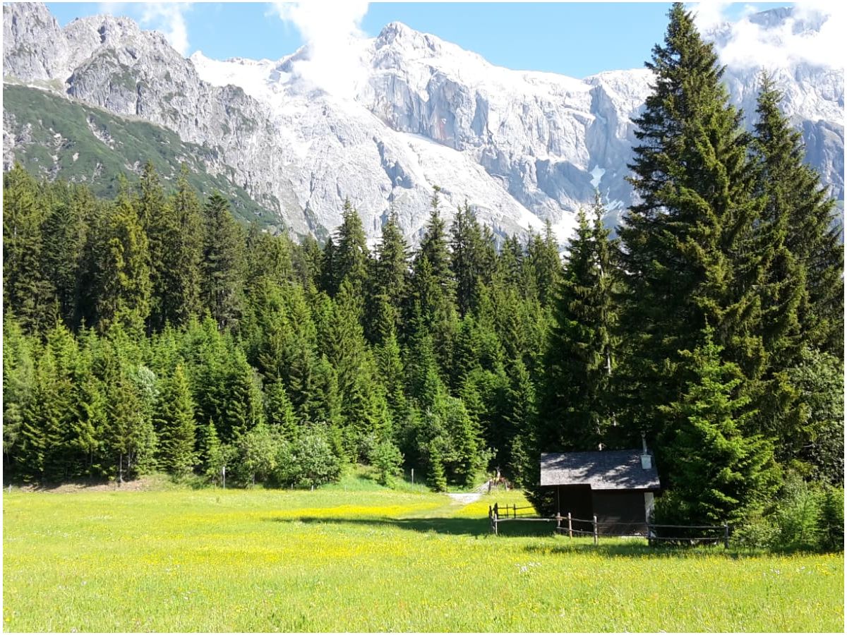 Holiday apartment Alpendomizil - Outdoor photo 4