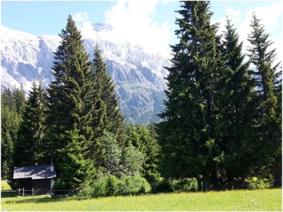 Holiday apartment Alpendomizil - Outdoor photo 3