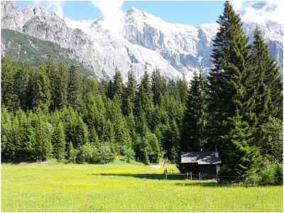 Holiday apartment Alpendomizil - Outdoor photo 4